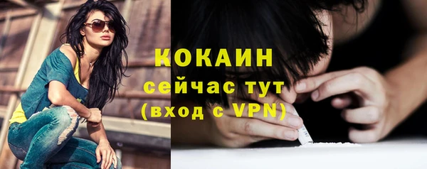 спиды Пересвет