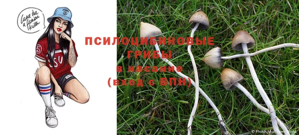 меф Пестово